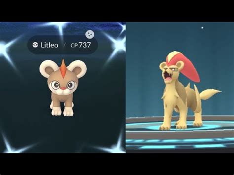 Litleo Location, Evolution, and Learnset .